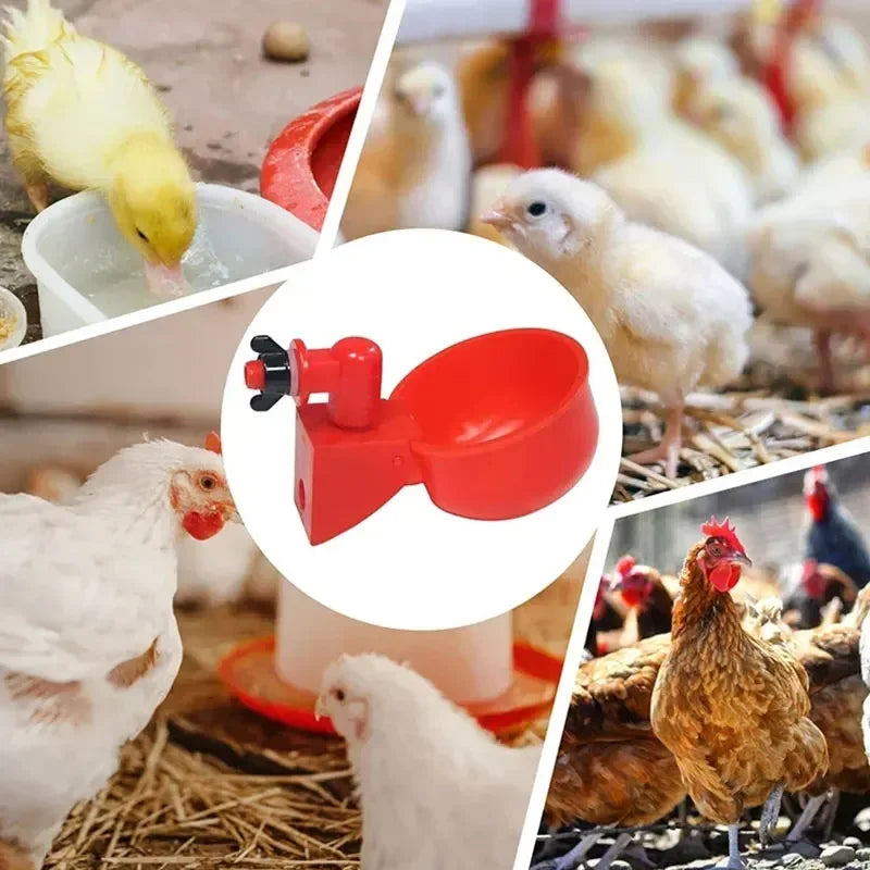 5Pc Automatic Chicken Waterer - Poultry Farm Bird Feeder Drinking Bowl