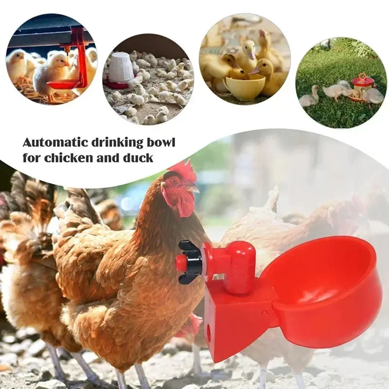 5Pc Automatic Chicken Waterer - Poultry Farm Bird Feeder Drinking Bowl