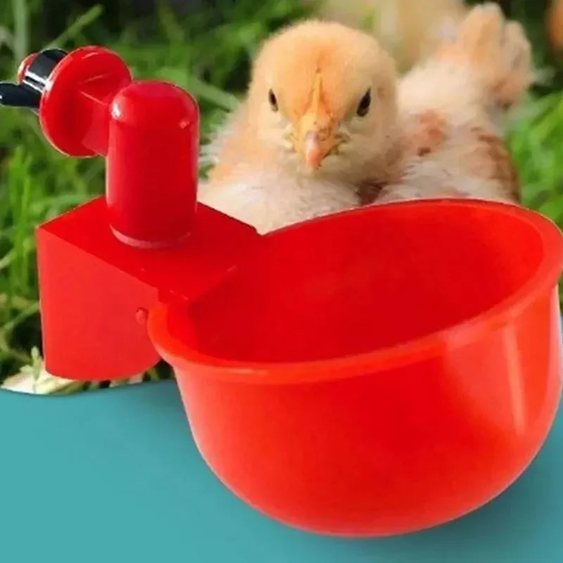 5Pc Automatic Chicken Waterer - Poultry Farm Bird Feeder Drinking Bowl