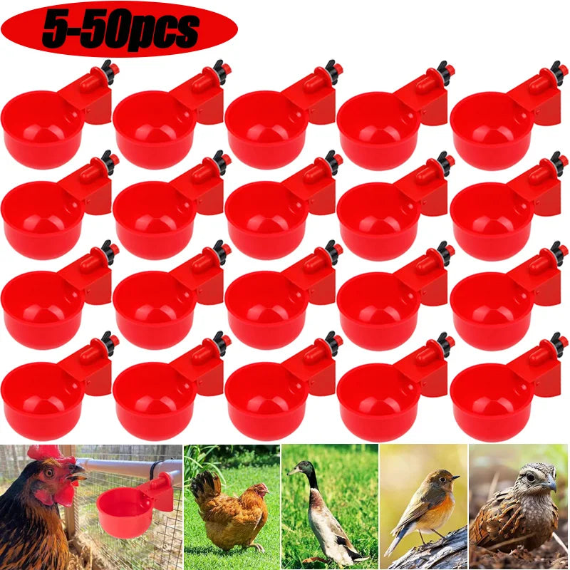 5Pc Automatic Chicken Waterer - Poultry Farm Bird Feeder Drinking Bowl