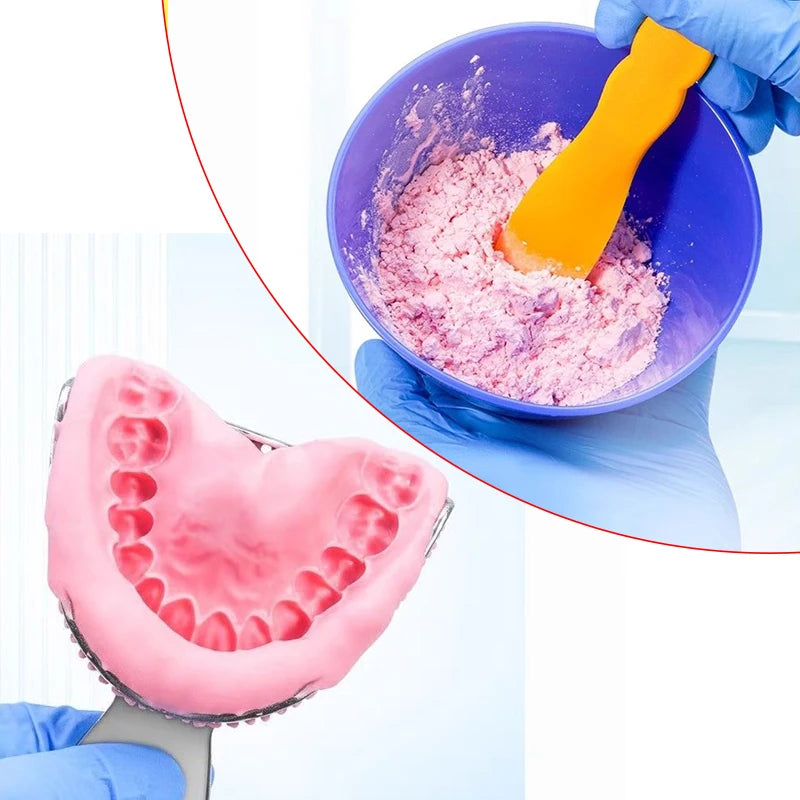 Dental Alginate Impression Material - Plaster Mold for Dentures